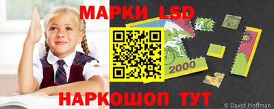 гидра Кингисепп