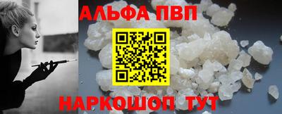 гидра Кингисепп