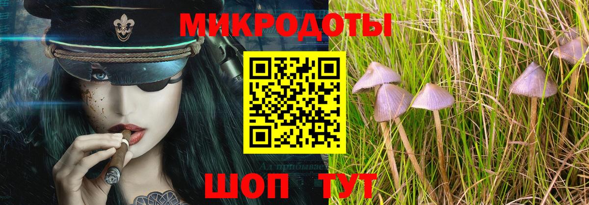 Галлюциногенные грибы Psilocybe  Псилоцибиновые грибы Cubensis  Черкесск  Вход с VPN 